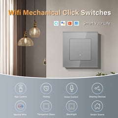 EC WiFi Click Light Switch Can Multi-control Glass Panel Work with Alexa/Google Home Contol by Tuya/Samrt Life Light Switches Bseedswitch 